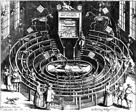 Иллюстрация к книге — Фредерик Рюйш и его дети. Гид по ранним коллекциям Кунсткамеры [i_002.jpg]