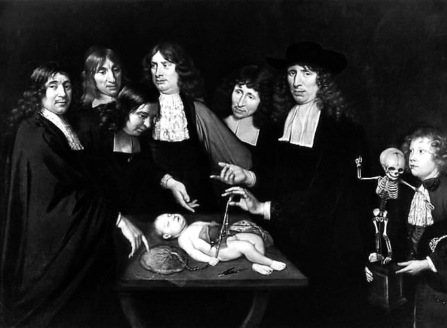 Иллюстрация к книге — Фредерик Рюйш и его дети. Гид по ранним коллекциям Кунсткамеры [i_004.jpg]