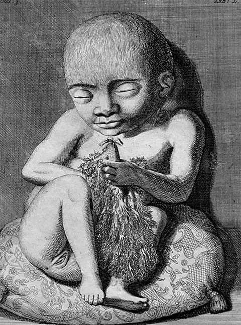 Иллюстрация к книге — Фредерик Рюйш и его дети. Гид по ранним коллекциям Кунсткамеры [i_005.jpg]