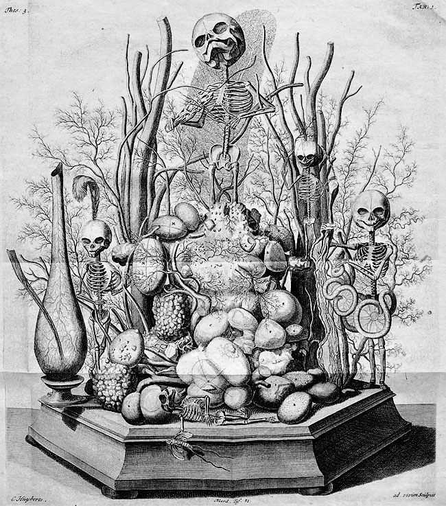 Иллюстрация к книге — Фредерик Рюйш и его дети. Гид по ранним коллекциям Кунсткамеры [i_006.jpg]