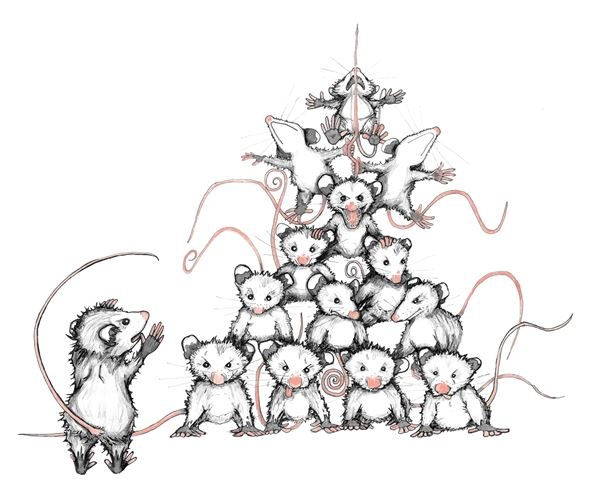 Иллюстрация к книге — Опоссум по имени Апельсинка [i_003.jpg]