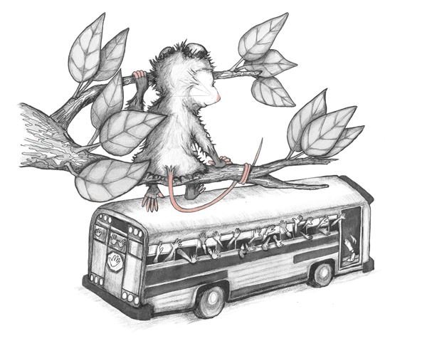 Иллюстрация к книге — Опоссум по имени Апельсинка [i_013.jpg]