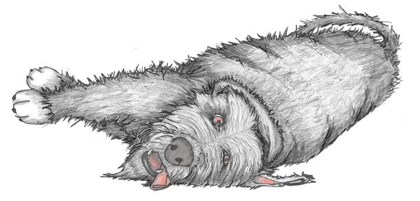 Иллюстрация к книге — Опоссум по имени Апельсинка [i_018.jpg]