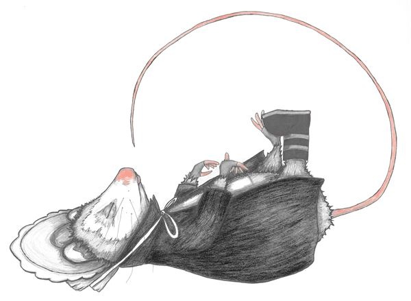 Иллюстрация к книге — Опоссум по имени Апельсинка [i_025.jpg]