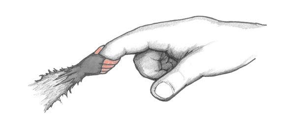 Иллюстрация к книге — Опоссум по имени Апельсинка [i_026.jpg]