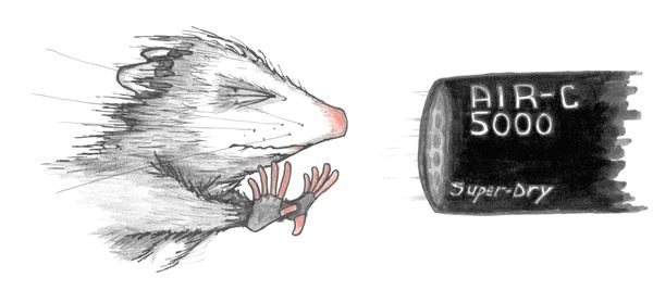 Иллюстрация к книге — Опоссум по имени Апельсинка [i_027.jpg]