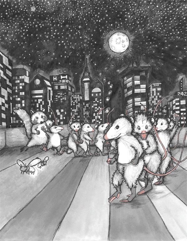 Иллюстрация к книге — Опоссум по имени Апельсинка [i_034.jpg]