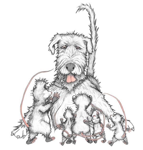 Иллюстрация к книге — Опоссум по имени Апельсинка [i_037.jpg]