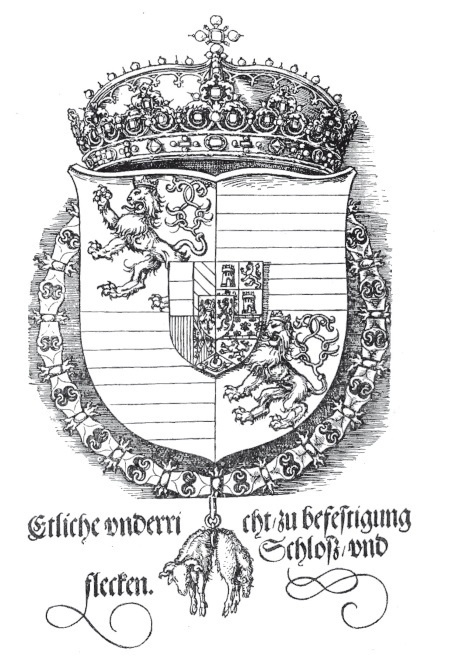 Иллюстрация к книге — Альбрехт Дюрер. Дневники и письма [i_001.jpg]