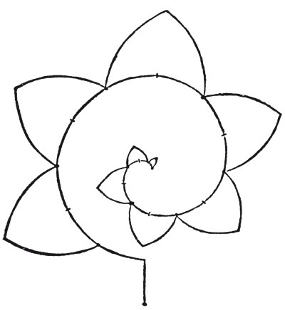 Иллюстрация к книге — Альбрехт Дюрер. Дневники и письма [i_018.jpg]