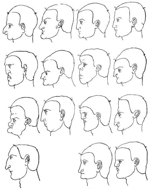Иллюстрация к книге — Альбрехт Дюрер. Дневники и письма [i_125.jpg]