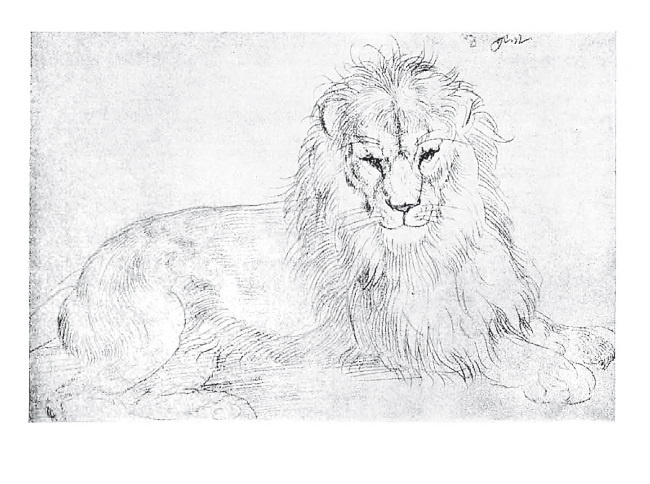 Иллюстрация к книге — Альбрехт Дюрер. Дневники и письма [i_147.jpg]