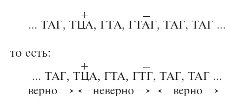 Иллюстрация к книге — Что за безумное стремленье! [i_005.jpg]