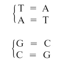 Иллюстрация к книге — Что за безумное стремленье! [i_010.jpg]