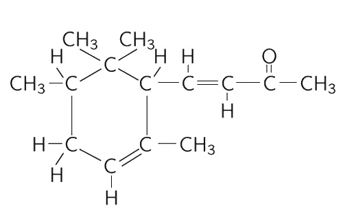 Иллюстрация к книге — Фейнмановские лекции по физике. Современная наука о природе [i_010.jpg]