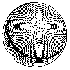 Иллюстрация к книге — Жизнь замечательных устройств [img_180.jpg]