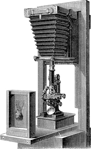 Иллюстрация к книге — Жизнь замечательных устройств [img_27.jpg]