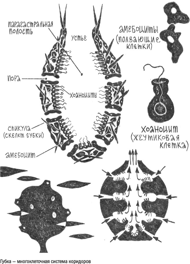 Иллюстрация к книге — Против часовой стрелки [i_014.jpg]