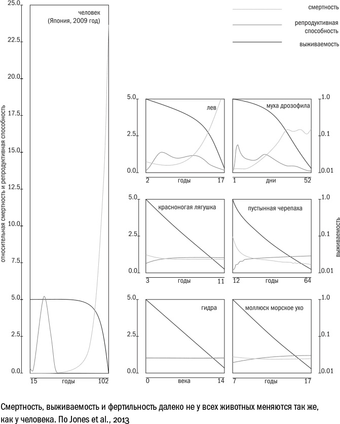 Иллюстрация к книге — Против часовой стрелки [i_015.jpg]