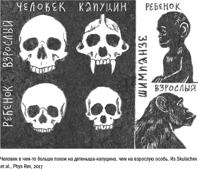 Иллюстрация к книге — Против часовой стрелки [i_019.jpg]