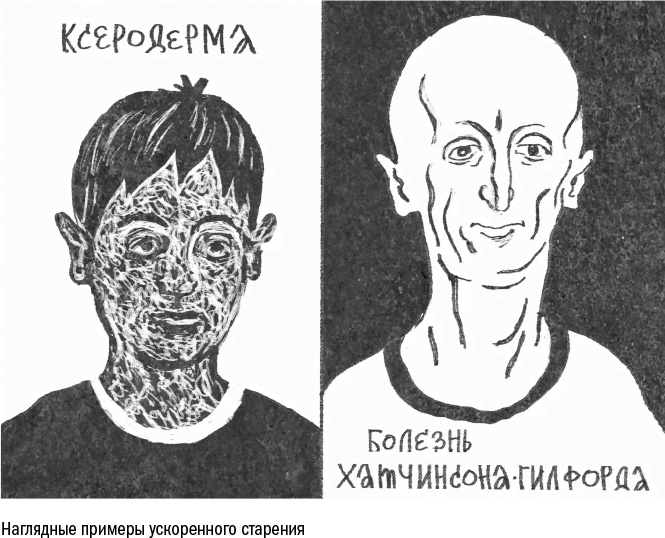 Иллюстрация к книге — Против часовой стрелки [i_021.jpg]