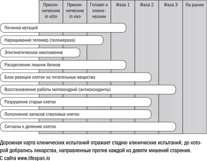Иллюстрация к книге — Против часовой стрелки [i_025.jpg]