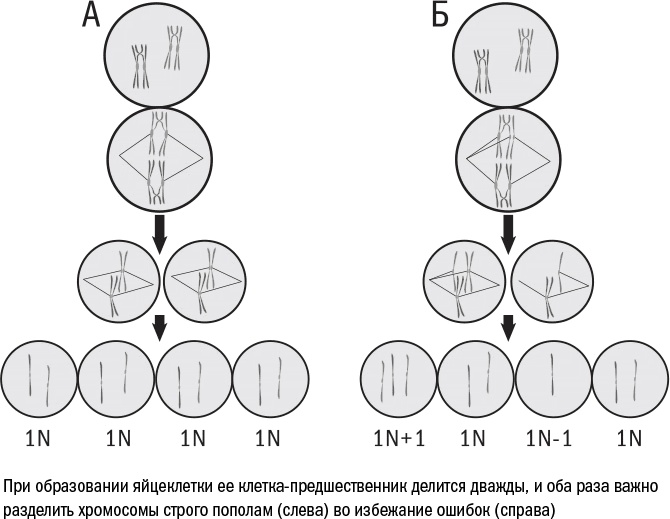 Иллюстрация к книге — Против часовой стрелки [i_031.jpg]