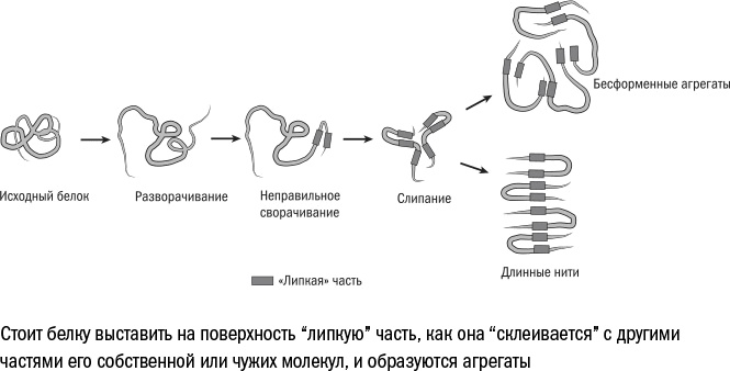 Иллюстрация к книге — Против часовой стрелки [i_033.jpg]