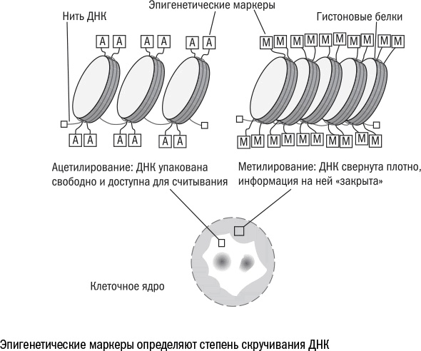 Иллюстрация к книге — Против часовой стрелки [i_039.jpg]