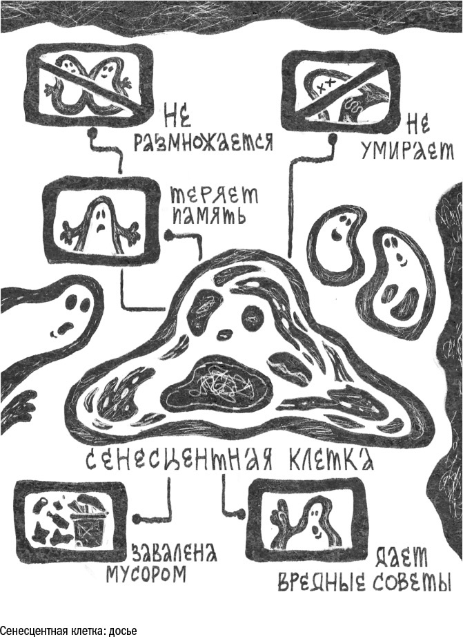 Иллюстрация к книге — Против часовой стрелки [i_041.jpg]