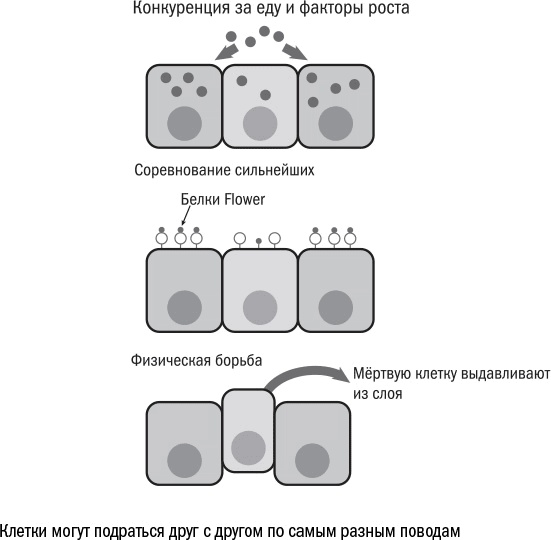 Иллюстрация к книге — Против часовой стрелки [i_045.jpg]