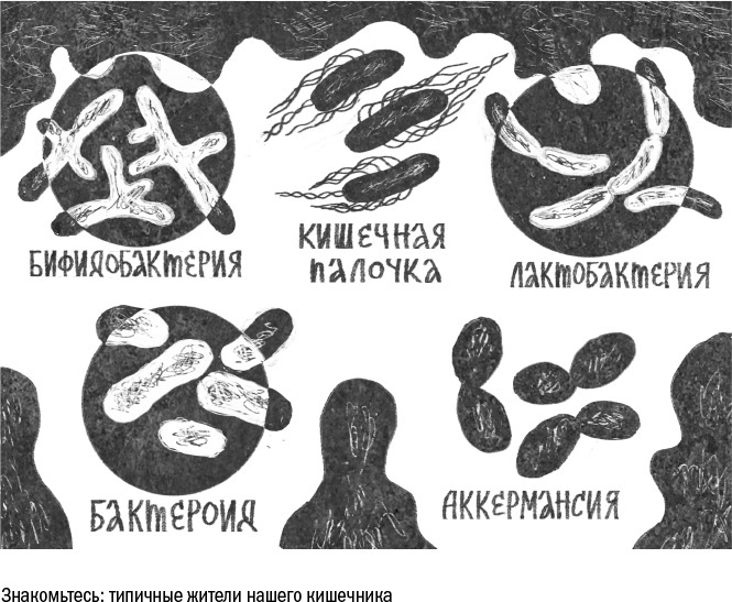 Иллюстрация к книге — Против часовой стрелки [i_049.jpg]