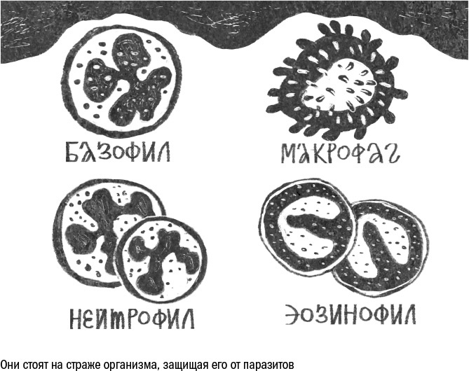 Иллюстрация к книге — Против часовой стрелки [i_054.jpg]