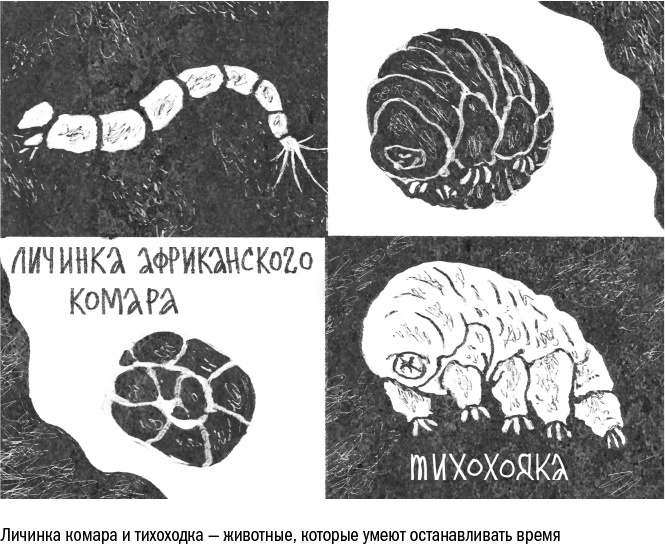 Иллюстрация к книге — Против часовой стрелки [i_082.jpg]