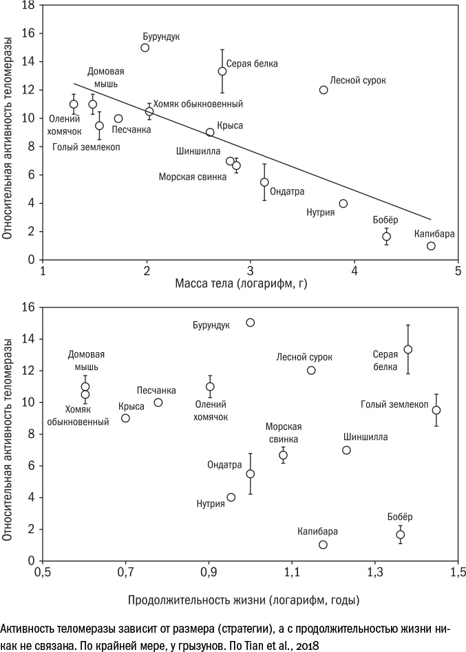 Иллюстрация к книге — Против часовой стрелки [i_093.jpg]