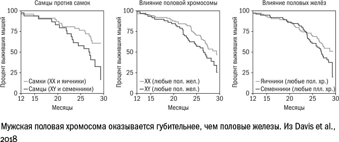 Иллюстрация к книге — Против часовой стрелки [i_100.jpg]