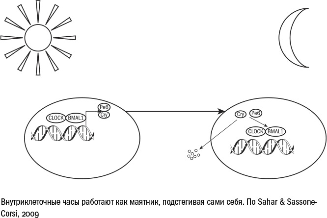 Иллюстрация к книге — Против часовой стрелки [i_108.jpg]