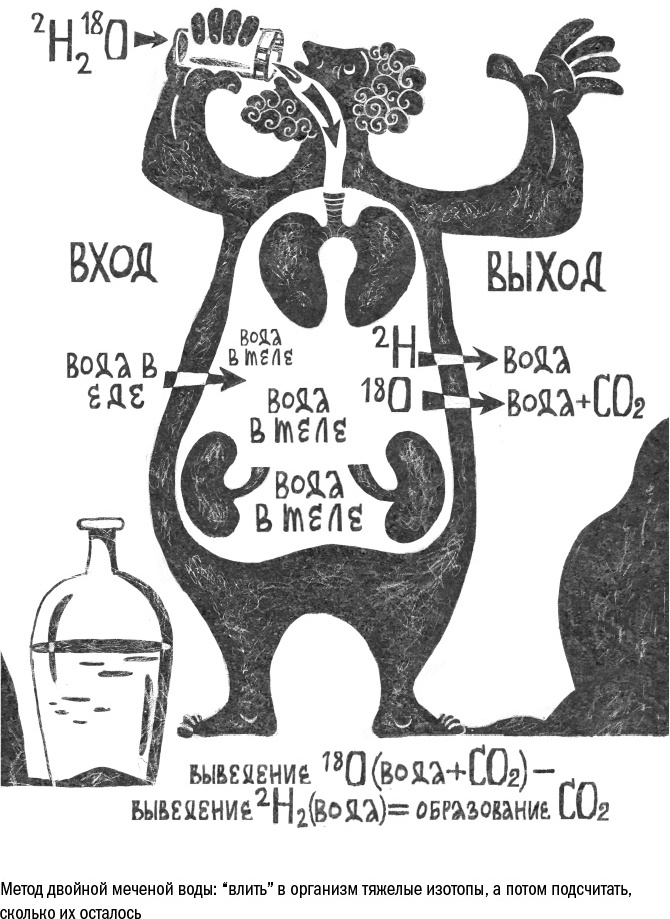 Иллюстрация к книге — Против часовой стрелки [i_110.jpg]
