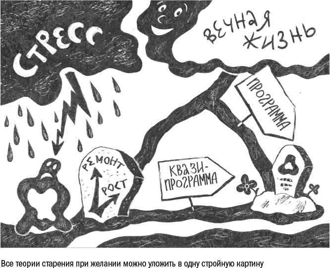 Иллюстрация к книге — Против часовой стрелки [i_113.jpg]