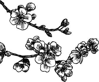 Иллюстрация к книге — J-beauty. Японская революция [i_002.jpg]