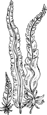 Иллюстрация к книге — J-beauty. Японская революция [i_079.jpg]