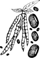 Иллюстрация к книге — J-beauty. Японская революция [i_106.jpg]