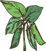 Иллюстрация к книге — J-beauty. Японская революция [i_107.jpg]