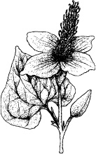 Иллюстрация к книге — J-beauty. Японская революция [i_110.jpg]