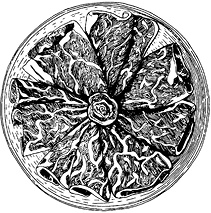 Иллюстрация к книге — J-beauty. Японская революция [i_114.jpg]