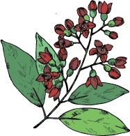 Иллюстрация к книге — J-beauty. Японская революция [i_170.jpg]