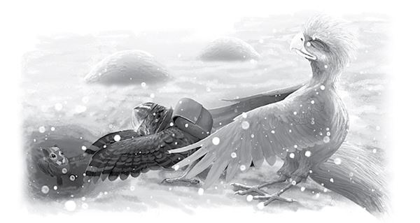 Иллюстрация к книге — Последний огнеястреб. Хрустальные гроты [i_014.jpg]