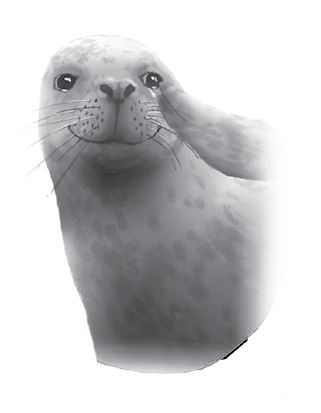 Иллюстрация к книге — Последний огнеястреб. Хрустальные гроты [i_035.jpg]