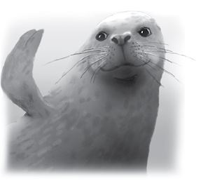 Иллюстрация к книге — Последний огнеястреб. Хрустальные гроты [i_057.jpg]