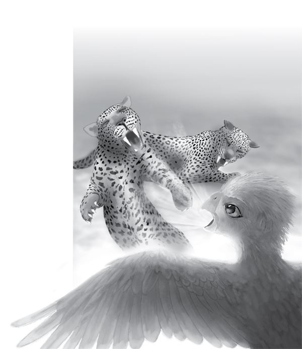 Иллюстрация к книге — Последний огнеястреб. Хрустальные гроты [i_079.jpg]